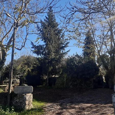 Pazo San Lorenzo- Puebla De Trives Eksteriør billede